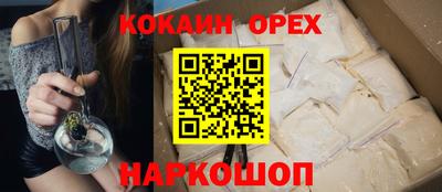 гашик Кудрово