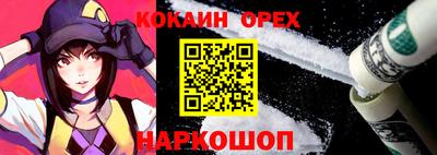 гашик Кудрово