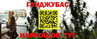 прущие грибы Кузнецк