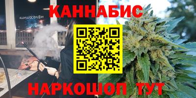 гашик Кудрово