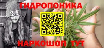 прущие грибы Кузнецк