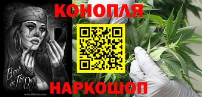 прущие грибы Кузнецк